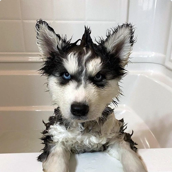 Источник: соцсети