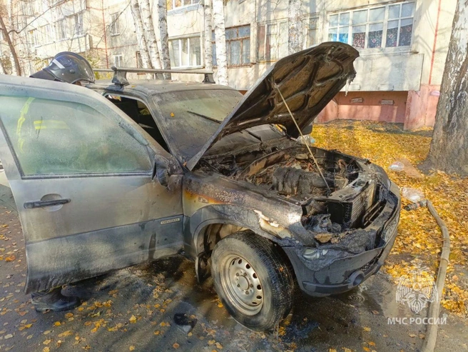 Источник: пресс-служба ГУ МЧС по Курганской области