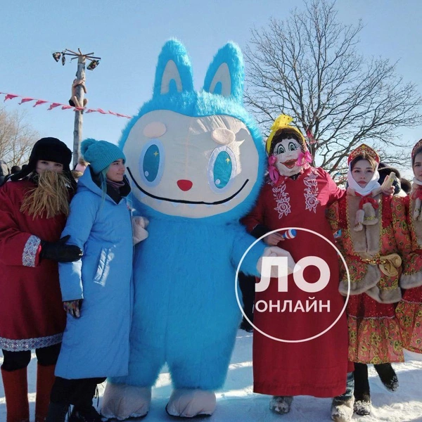 Источник: ЛО Онлайн / Telegram
