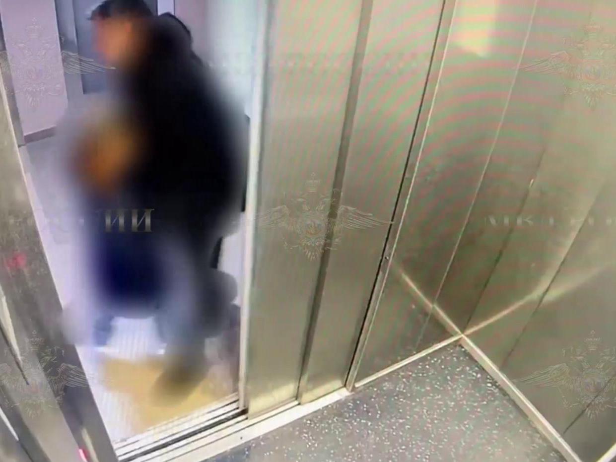 МВД опубликовало видео инцидента с девочкой в лифте