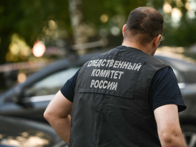 Следователи раскрыли детали жестокого убийства | Источник: Артем Устюжанин / MSK1.RU