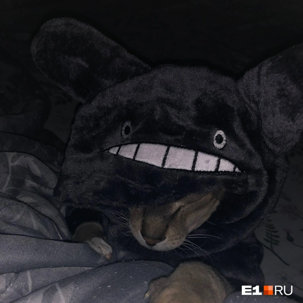 Источник: Читатель E1.RU