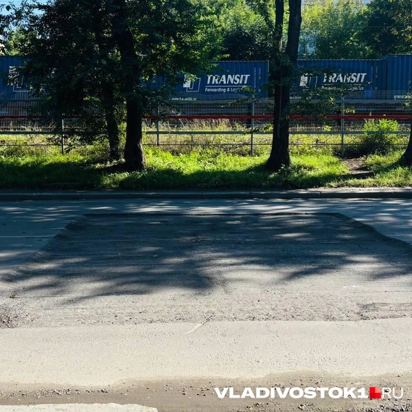 Источник: Елена Буйвол / VLADIVOSTOK1.RU