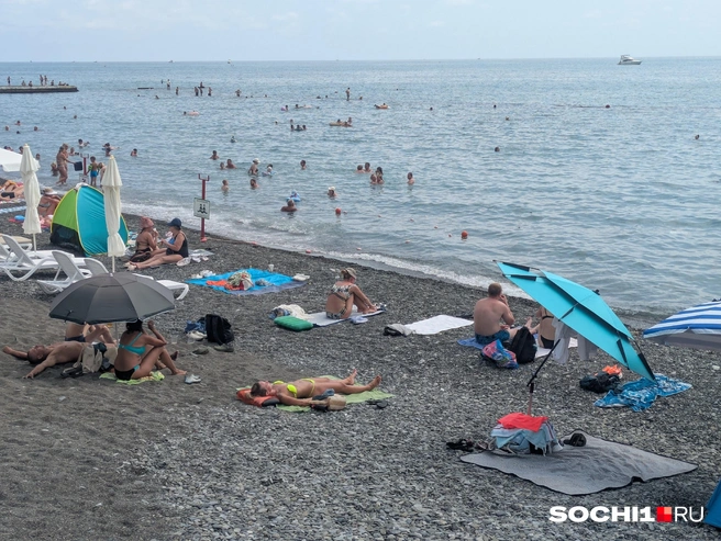 В этой части берега&nbsp;— шикарный заход в воду | Источник: Оксана Витязь/SOCHI1.RU