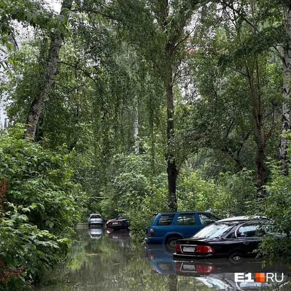 «Вода уже в подъезде»: из-за сильного дождя в Екатеринбурге «утонули» дом и машины. Видео  | Источник: читательница E1.RU
