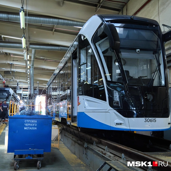 Источник: Дмитрий Толстошеев / MSK1.RU