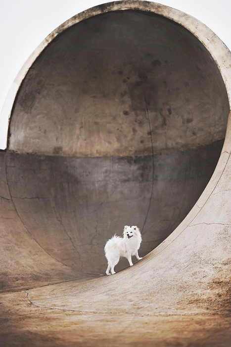 Источник: Elke Braet /&nbsp;Fine Art Photography Awards 2026