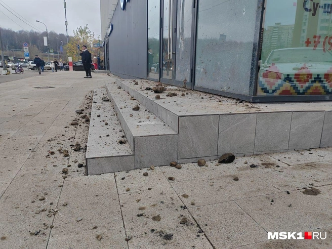 Источник: Михаил Мечев / MSK1.RU