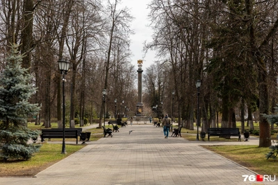 Потепление приходит в Центральную Россию: прогноз до 5 мая