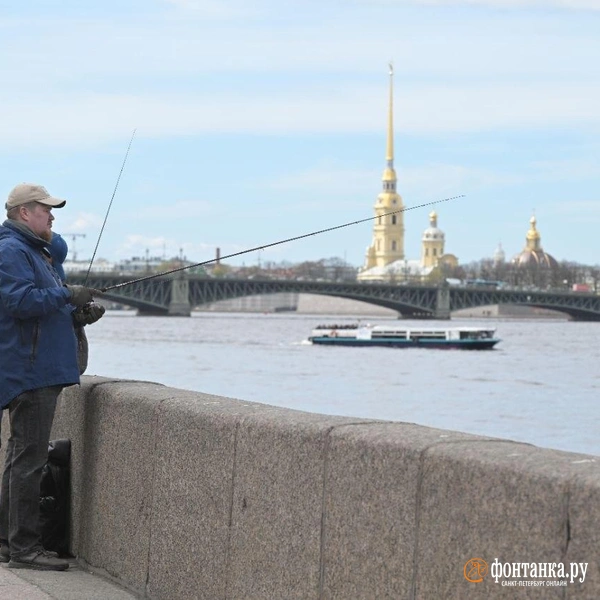 Источник: Андрей Бок / FONTANKA.RU