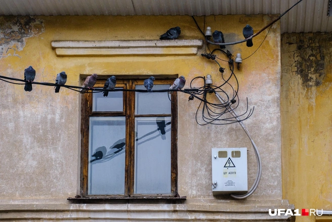 Спрятались от дождя | Источник: Булат Салихов / UFA1.RU