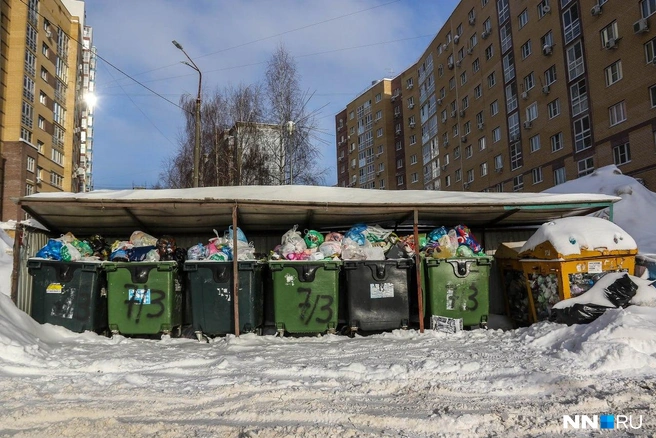 Из-за снега вывозить мусор снова стало затруднительно | Источник: Наталья Бурухина / NN.RU