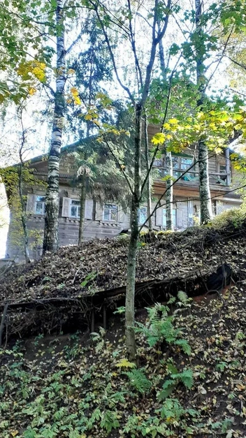 Дом Герасима Прохорова | Источник: Светлана / Яндекс Карты