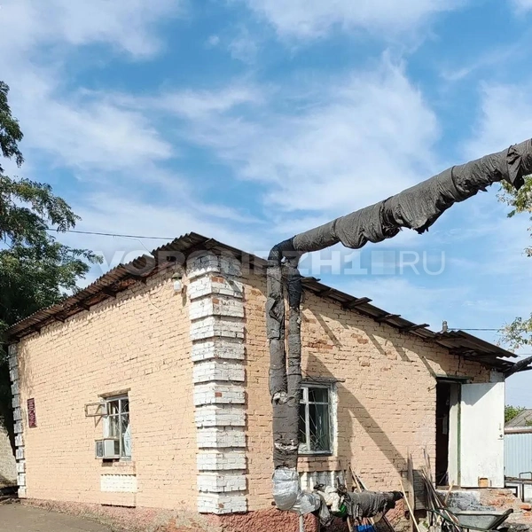 Источник: Татьяна Тельпис / Voronezh1.ru