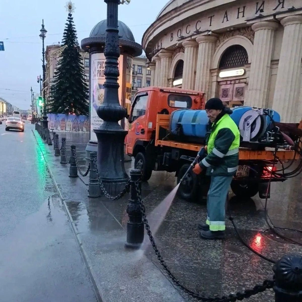 Источник: Комитет по благоустройству Петербурга