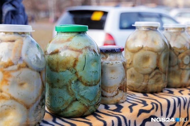 Солить грузди можно в стеклянных банках или деревянных бочонках | Источник: Мария Ленц / NGS24.RU