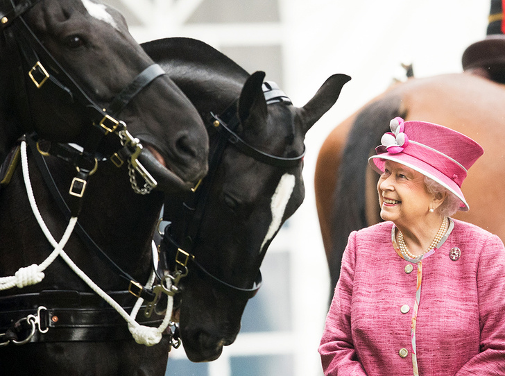Королева ипподрома: как Елизавета II зарабатывает на скачках (и сколько она уже выиграла)