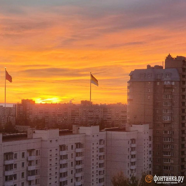 Источник: читатель «Фонтанки» Александр