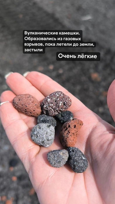Немного интересных фактов  | Источник: предоставлено Еленой 
