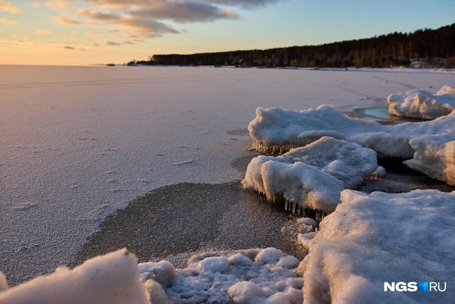Источник: Александр Ощепков / NGS.RU