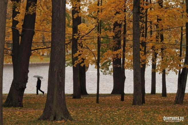 Погоду в Петербурге определяет тёплый атмосферный фронт. Что он нам готовит | Источник: Михаил Огнев / «Фонтанка.ру»