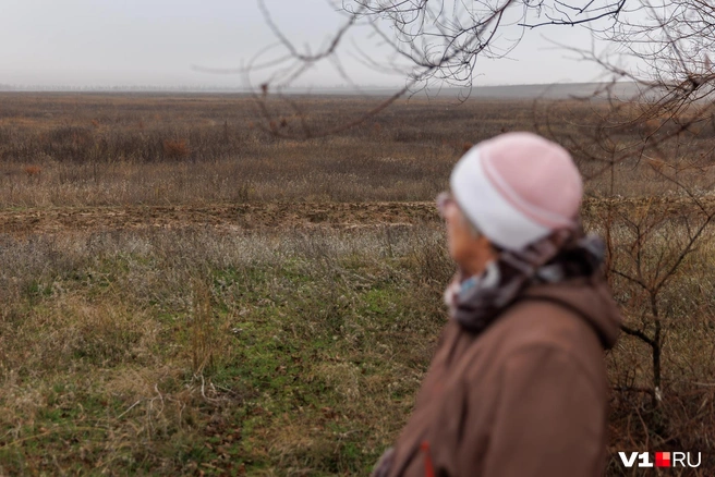 Женщина считает, что сына могли убить на арбузных полях | Источник: Алексей Волхонский / V1.RU