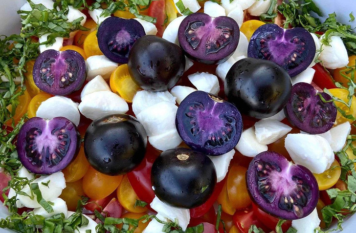 Ученые в США вывели сорт фиолетовых помидоров, которые могут защитить от рака