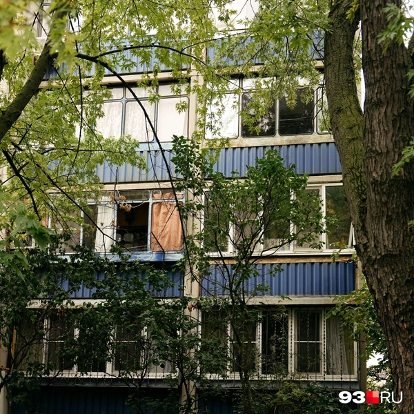 Источник: Дарья Паращенко / 93.RU