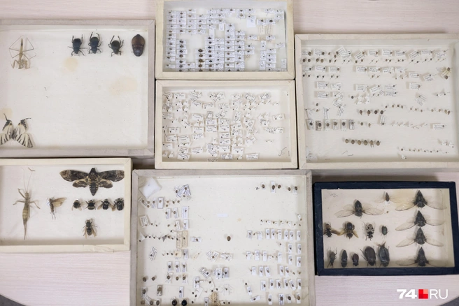За каждым экземпляром стоит большой труд и вклад в мировую науку | Источник: Наталья Лапцевич