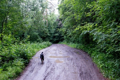 Жители Башкирии ждали дорогу 10 лет: вмешался Бастрыкин
