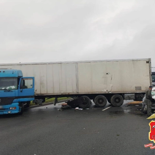 Источник: Петербургская полиция/Telegram