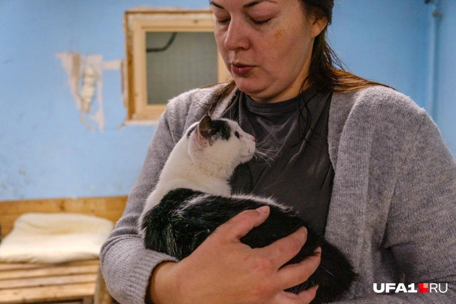 Такого ласкового кота еще поискать! | Источник: Булат Салихов / UFA1.RU