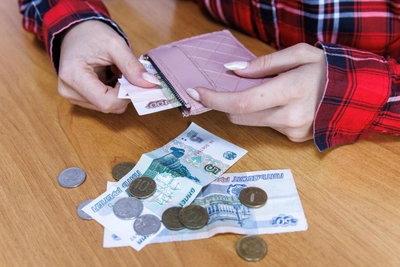 Омичи раскрыли источники доходов и статьи расходов