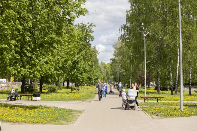 Обновят территории в трех городах | Источник: Александра Мамонтова / 76.RU