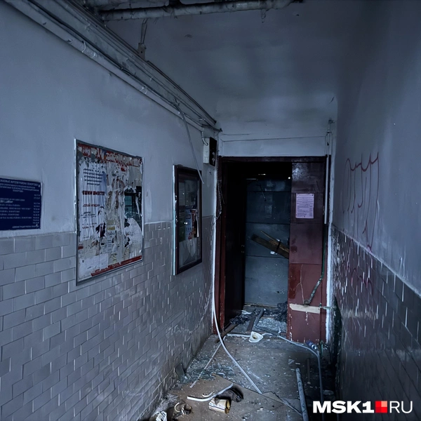 Источник: Алина Мельникова / MSK1.RU