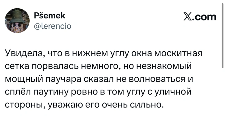 Источник: X (Twitter)