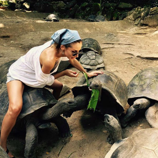 Светлана давно хотела показать семье больших черепах