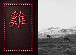 Год Лошади 2026: прогноз для Петуха