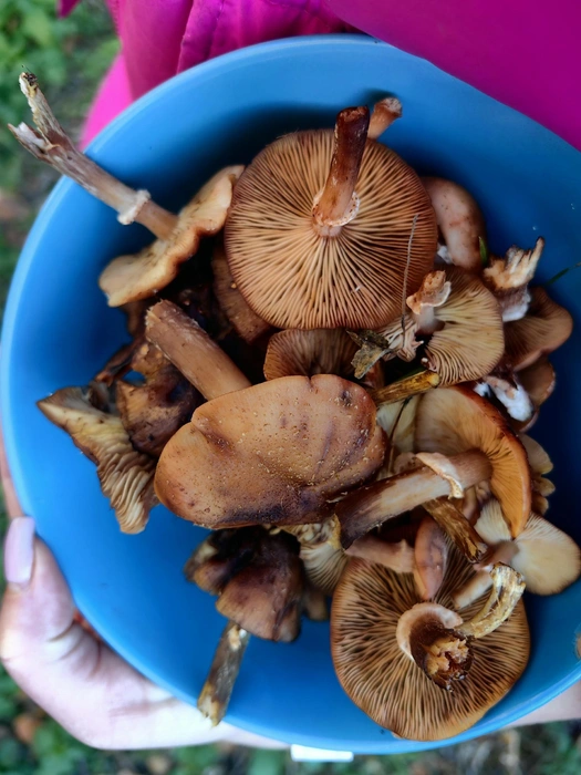 Источник: Юлия Шушакова / vk.com