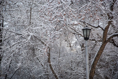 В Новосибирске потепление начнется после 6 марта