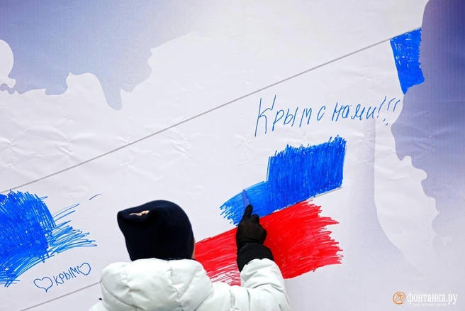 Источник: Дарья Драй / «Фонтанка.ру»