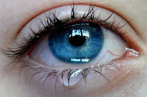 Как сохранить здоровье глаз, если ты вечно смотришь в экран