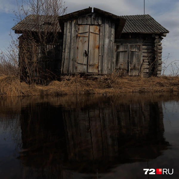 Источник: Ирина Шарова / 72.RU