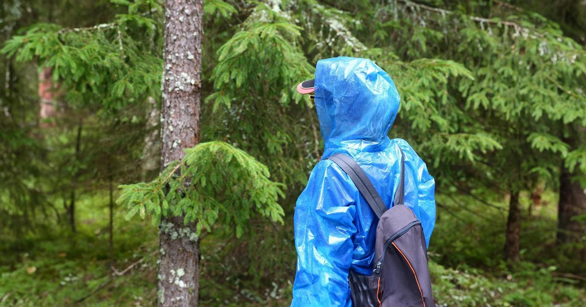 &laquo;ЛизаАлерт&raquo; проведет &laquo;Недетские игры&raquo;