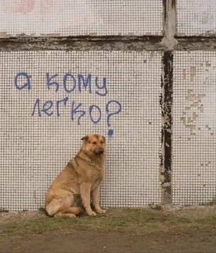 17 картинок недели и хлопок одной ладонью
