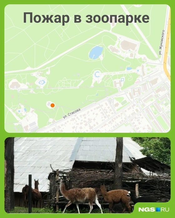 Горело это здание и загон | Источник: Юрий Орлов / Городские медиа, 2gis.ru