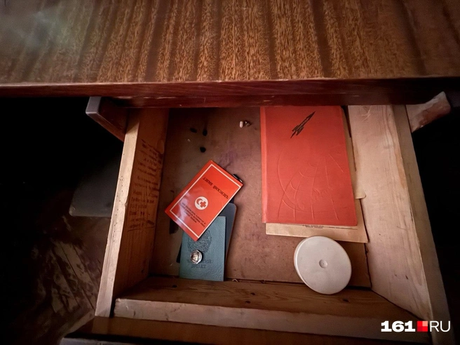 Источник: Марина Рыбалкина / 161.RU