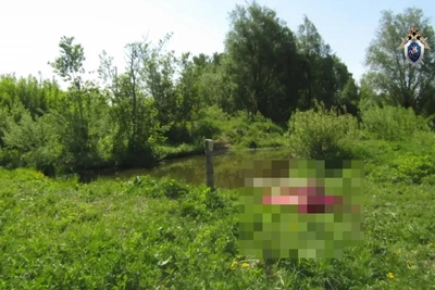 Гибель мужчины в пруду: проверка в Марий Эл