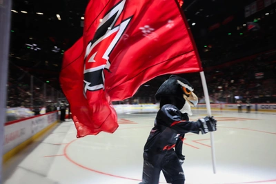 Авангард сыграет с Нефтехимиком в плей-офф