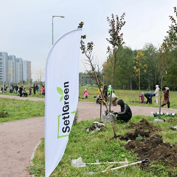 Источник: ООО «Сэтл Групп»